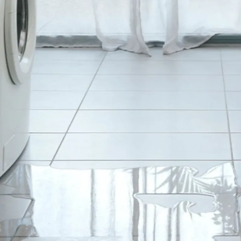 Appliance Leak Cleanup in Sudley, VA