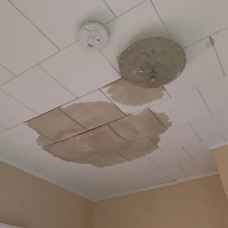 Ceiling Water Damage Repair in Sudley, VA