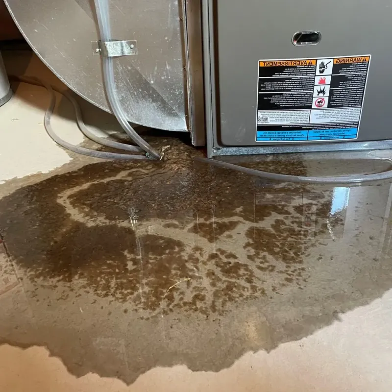 Pipe Burst and Leak Restoration in Sudley, VA